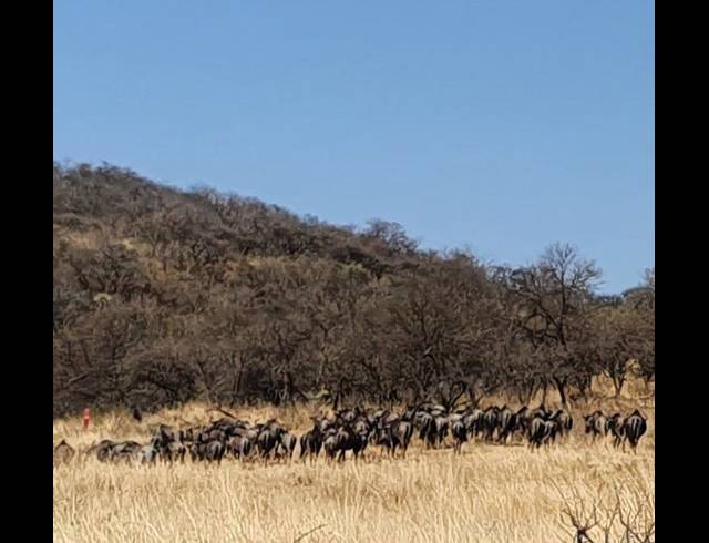 20,000,000M² FARM FOR SALE IN ESTCOURT RURAL
